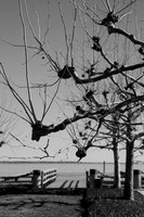 Waterfront Park