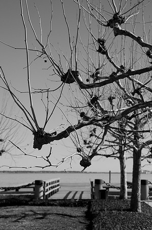 Waterfront Park