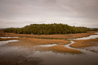 Marsh Tributaries