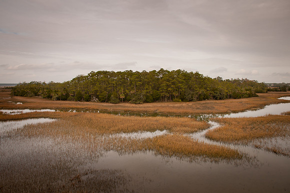 Marsh Tributaries