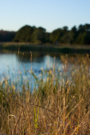By the Lake